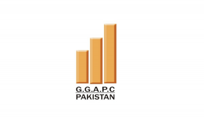 GOLD & GEMS ART PROMOTION COUNCIL OF PAKISTAN PROMOTES VOD DIJS 2019